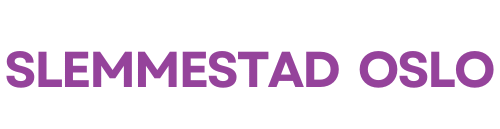 Båt Slemmestad Oslo (Aker brygge) Vollen